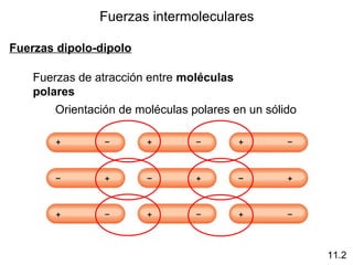 Fuerzas intermoleculares
Fuerzas dipolo-dipolo
Fuerzas de atracción entre moléculas
polares
Orientación de moléculas polares en un sólido
11.2
 
