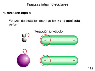 Fuerzas intermoleculares
Fuerzas ion-dipolo
Fuerzas de atracción entre un ion y una molécula
polar
11.2
Interacción ion-dipolo
 