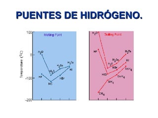 PUENTES DE HIDRÓGENO. 