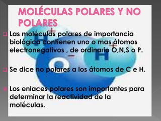 Las moléculas polares de importancia
biológica contienen uno o mas átomos
electronegativos , de ordinario O,N,S o P.
Se dice no polares a los átomos de C e H.
Los enlaces polares son importantes para
determinar la reactividad de la
moléculas.