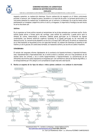 GOBIERNO REGIONAL DE LAMBAYEQUE
UNIDAD DE GESTIÓN EDUCATIVA LOCAL
CHICLAYO
“AÑO DE LA DIVERSIFICACIÓN PRODUCTIVA Y DEL FORTALECIMIENTO DE LA EDUCACIÓN”
Panamericana Norte 775 – Carretera a Lambayeque – Central Telefónica 612774
http://ugelchiclayo.regionlambayeque.gob.pe Portal UGEL.CHICLAYO
Dr. Juan Luis RODRIGUEZ VEGA – Lic. Gillermina PEJERREY CAMPODONICO
magnesio aumentan, su reabsorción disminuye. Ocurre reabsorción de magnesio en el túbulo contorneado
proximal. al parecer, por transporte pasivo, secundario a la resorción de sodio. La hormona paratiroidca y la
calcitonina aumentan su reabsorción; la aldosterona. por el contrario, la disminuye. En el asa de Henle existe
posiblemente un transpone competitivo entre el calcio y el magnesio, la importancia fisiológica de este hecho
no se ha dilucidado aún.
Sulfatos
En el organismo se forma sulfato durante el metabolismo de los ácidos aminados que contienen azufre. Dicho
sulfato puede entrar a formar parte del cartílago, como sulfato de condroitina. o puede servir para la
síntesis de cistina, homocisteína y metionina; también puede participar en la formación de algunos
cerebrósidos. Los ésteres sulfúricos orgánicos formados en el hígado participan en las reacciones de
destoxificación. Su concentración plasmática es de 0,5 a 1.5 meq/l (50 a 150 um/I). El sulfato es reabsorbido
en el riñon mediante un mecanismo activo con capacidad limitada. Su reabsorción disminuye al aumentar la del
fosfato y la de la glucosa. En condiciones normales, se reabsorbe sulfato y se secreta en cambio tiosulfato.
IONOGRAMA:
El estudio del ionograma informa rápidamente de la existencia de hipoelectrolitemia o hiperelectrolitemia,
osea, hipoosmolaridad o hiperosmolaridad; de si existe acidocis o alcalosis, esto es si hay predominio de los
aniones sobre los cationes, y de si existe hipoproteinemia o hiperproteinemia. La concentración de los
diferentes electrolitos suele expresarse en miligramos por cien centímetros cúbicos de líquido (mg/100cc), o
en miliequivalentes por litro (meq/l): en la actualidad se acepta mas esta valorización.
5. Realiza un esquema de los tipos de enlace e indica quienes conducen o no conducen la electricidad.
 