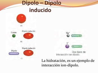 Dipolo – Dipolo
inducido
La hidratación, es un ejemplo de
interacción ion-dipolo.
 