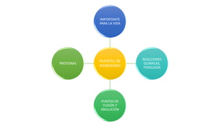 PUENTES DE
HIDRÓGENO
IMPORTANTE
PARA LA VIDA
REACCIONES
QUÍMICAS,
FISIOLOGÍA
PUNTOS DE
FUSIÓN Y
EBULLICIÓN
PROTEÍNAS
 