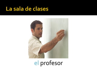 el profesor
 