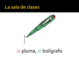 la pluma, el bolígrafo
 