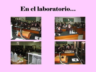 En el laboratorio…