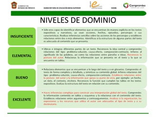 NIVELES DE DOMINIO 