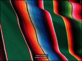 Fiesta de los Concheros, Querétaro Foto: Carlos Rangel así se lleva México en la Piel Como un buen sarape de Saltillo 