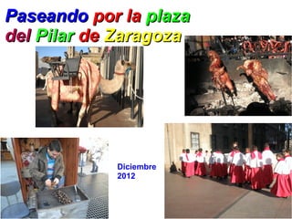 Paseando por la plaza
del Pilar de Zaragoza




            Diciembre
            2012
 
