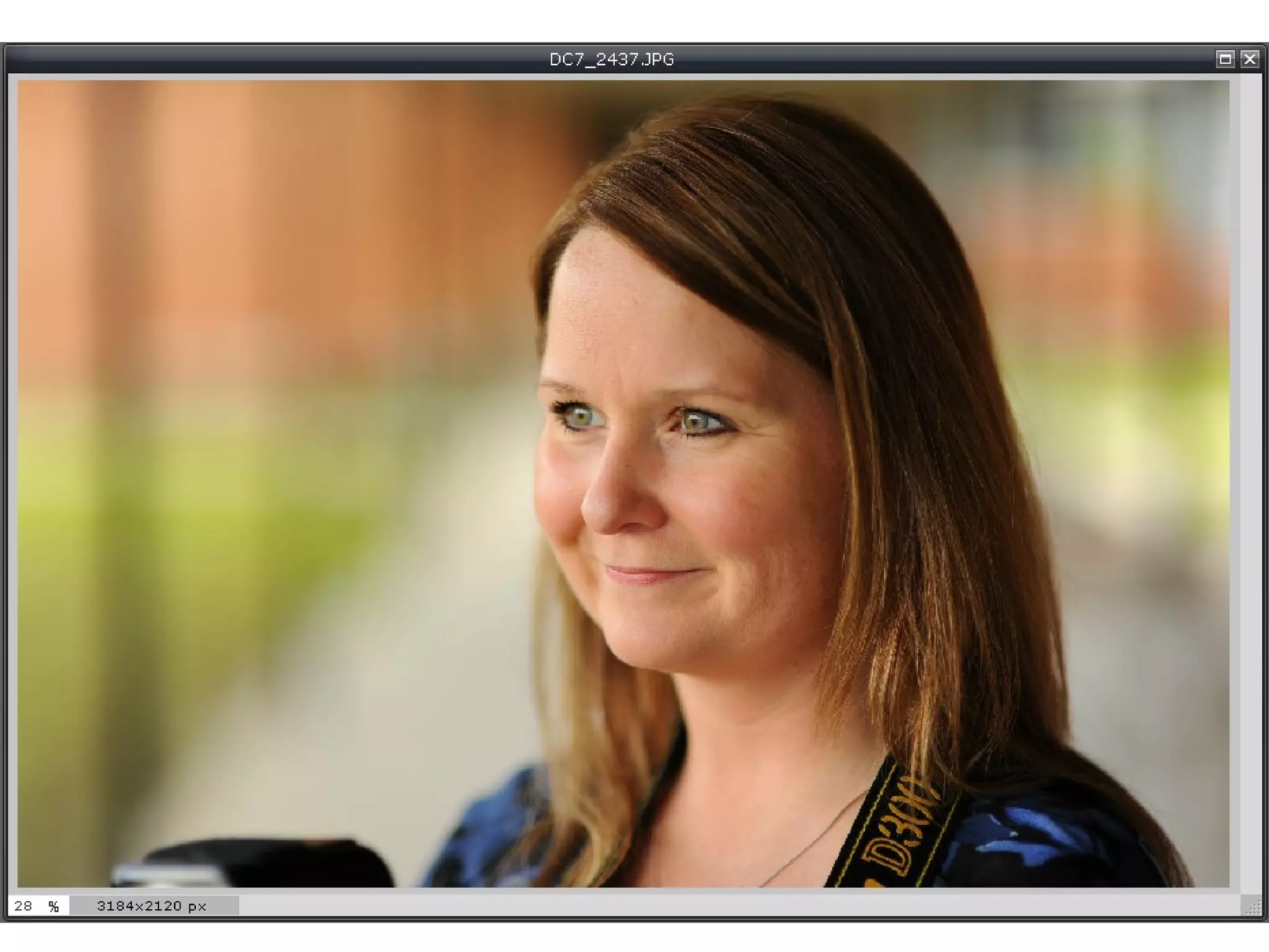 Dodging and Burning
• Digital Dodging and Burning is one of the best features of both
a FILM dakroom or DIGITAL darkroom. No photoshop at
home? Pixlr.com offers it for free.

 