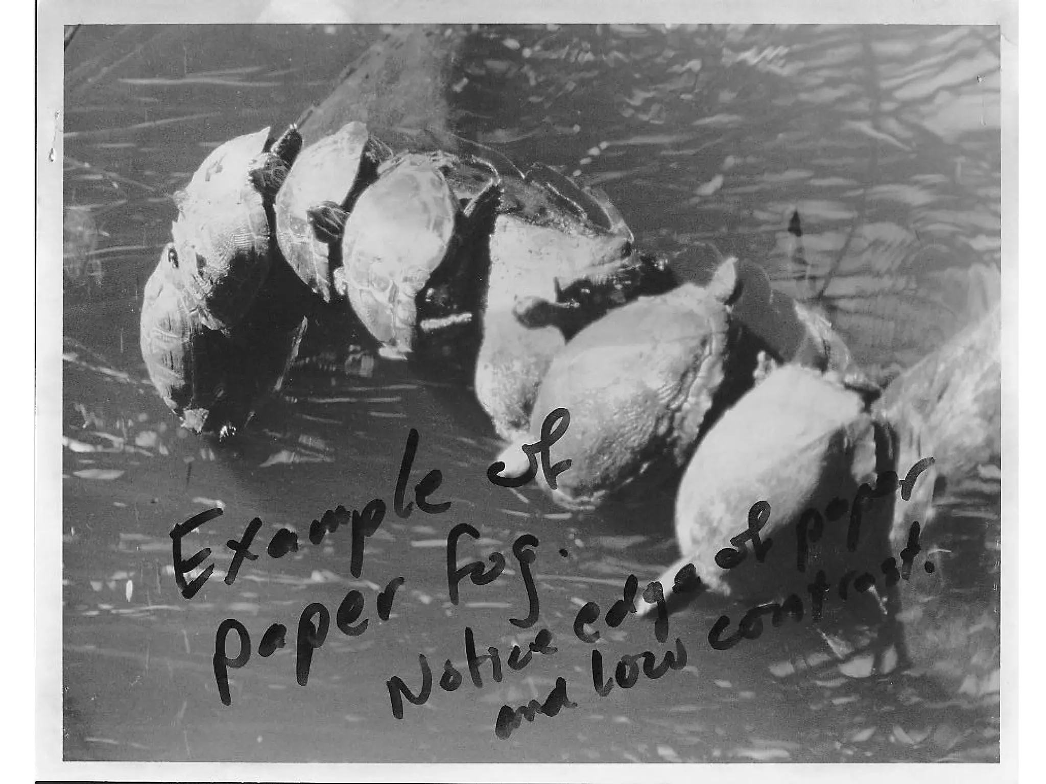 Print Errors
• Let’s look at some ways to avoid wasting
your time and money.

 