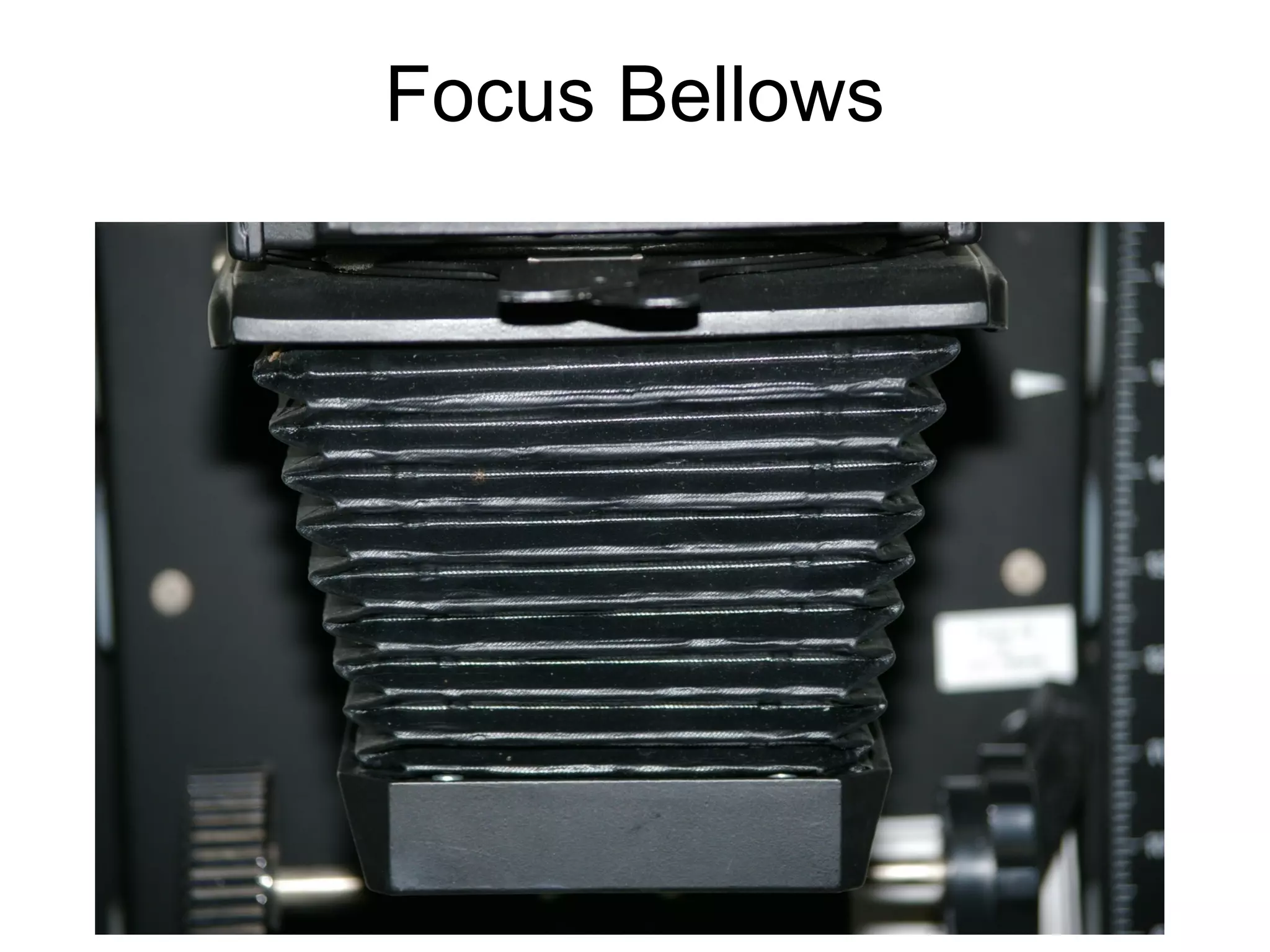 Focus Knob
located on the side of the bellows

 
