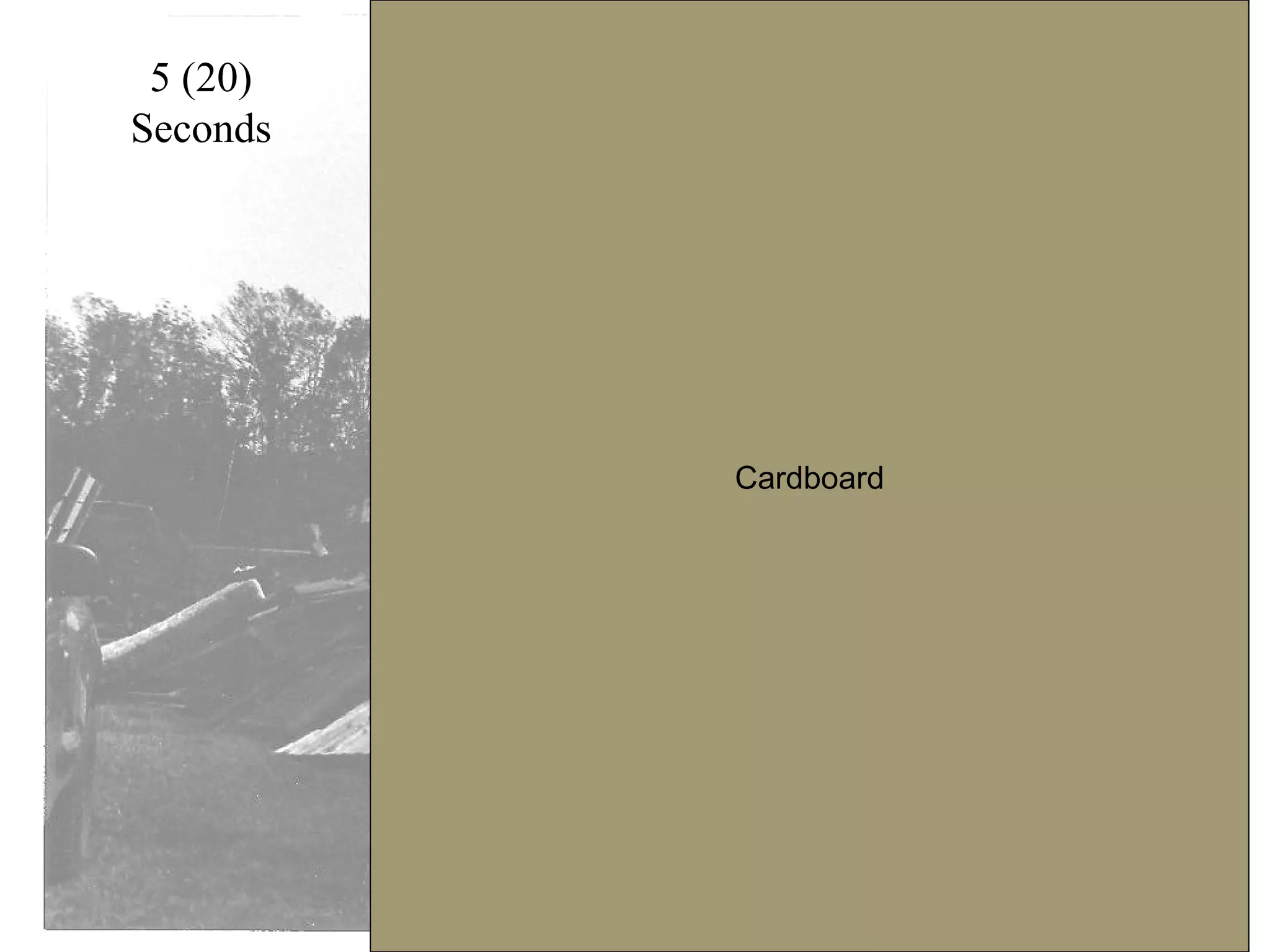 For color negatives to black and white prints, I recommend
putting a time of 20 seconds, cover your paper with all but ¼ of
the sheet with your card board. Progressively remove the card
board with each push of the button adding 5 to 20 more seconds.

 