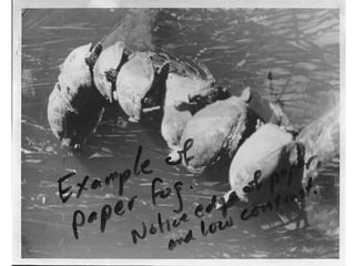 Print Errors
• Let’s look at some ways to avoid wasting
your time and money.

 