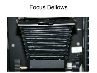 Focus Knob
located on the side of the bellows

 