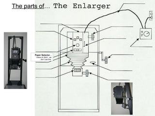 Negative Carrier – The Tongue

 