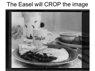 If you just laid a piece of paper down under the
enlarger, this is what you would get

 