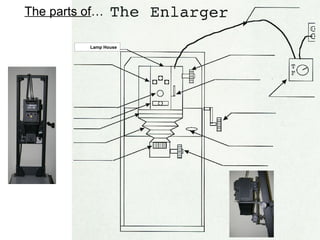 The parts of…
Be sure to turn
off the enlarger
when not in use.

Power Cord – Use caution when
adjusting the height of the enlarger
so you do not CUT the cord.

Lamp House
Lamp House Knob –
aka Negative Stage Knob

Contrast Level
Indicator
White Light Lever –
aka Filter Lever (On/Off). Pull
TOWARD you to turn off.

Enlarger Timer –

Turn
to a larger time, then down to
your desired time.

Contrast Control
Knob
Paper Selector –
Leave on ilford

Enlarger Height Knob
– Outermost knob

Negative Carrier – Opens
with Lamp House Knob

Bellows – Focus
Lens – aka Lens Board

Lens includes the
aperture which
controls the quantity
of light.

Enlarger Lock – Should
usually be left loose.

Focus Knob – Inner Lower

 