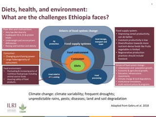 Nutrition Leadership for Climate Change Resilient Food System and Nutrition in Ethiopia