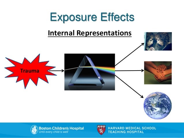 Michelle Bosquet Enlow The Neurobiology Of Trauma Ripple