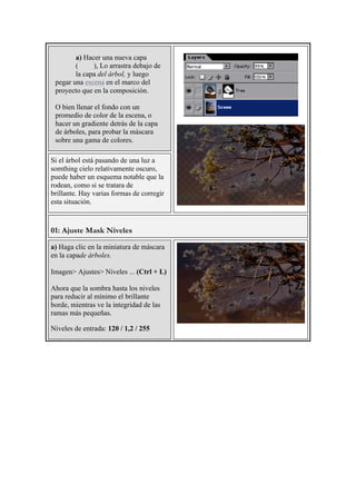 a) Hacer una nueva capa
( ), Lo arrastra debajo de
la capa del árbol, y luego
pegar una escena en el marco del
proyecto que en la composición.
O bien llenar el fondo con un
promedio de color de la escena, o
hacer un gradiente detrás de la capa
de árboles, para probar la máscara
sobre una gama de colores.
Si el árbol está pasando de una luz a
somthing cielo relativamente oscuro,
puede haber un esquema notable que la
rodean, como si se tratara de
brillante. Hay varias formas de corregir
esta situación.
01: Ajuste Mask Niveles
a) Haga clic en la miniatura de máscara
en la capade árboles.
Imagen> Ajustes> Niveles ... (Ctrl + L)
Ahora que la sombra hasta los niveles
para reducir al mínimo el brillante
borde, mientras ve la integridad de las
ramas más pequeñas.
Niveles de entrada: 120 / 1,2 / 255
 