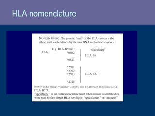 HLA nomenclature
 