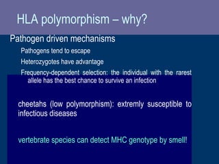 HLA polymorphism – why?
Pathogen driven mechanisms
Pathogens tend to escape
Heterozygotes have advantage
Frequency-dependent selection: the individual with the rarest
allele has the best chance to survive an infection
cheetahs (low polymorphism): extremly susceptible to
infectious diseases
vertebrate species can detect MHC genotype by smell!
 