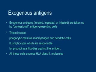 Exogenous antigens
• Exogenous antigens (inhaled, ingested, or injected) are taken up
by "professional" antigen-presenting cells
• These include:
phagocytic cells like macrophages and dendritic cells
B lymphocytes which are responsible
for producing antibodies against the antigen.
• All these cells express HLA class II. molecules
 