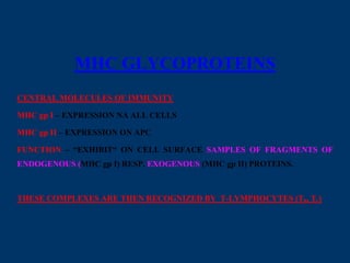 MHC GLYCOPROTEINS
CENTRAL MOLECULES OF IMMUNITY
MHC gp I – EXPRESSION NA ALL CELLS
MHC gp II – EXPRESSION ON APC
FUNCTION – “EXHIBIT“ ON CELL SURFACE SAMPLES OF FRAGMENTS OF
ENDOGENOUS (MHC gp I) RESP. EXOGENOUS (MHC gp II) PROTEINS.
THESE COMPLEXES ARE THEN RECOGNIZED BY T-LYMPHOCYTES (Th, Tc)
 