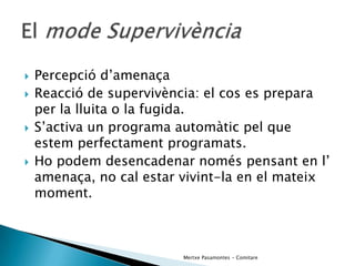 EnèMics Interns De L’Emprenedor