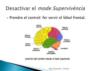 EnèMics Interns De L’Emprenedor
