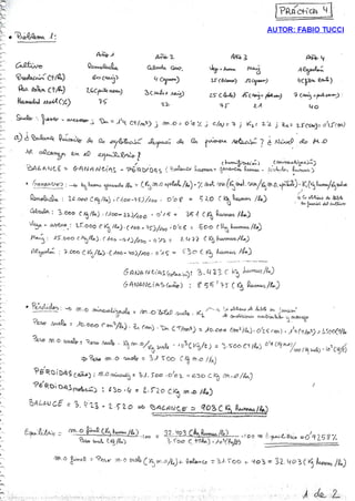 Enmiendas orgánicas 