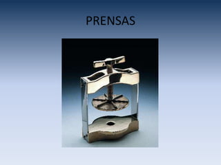 PRENSAS
 