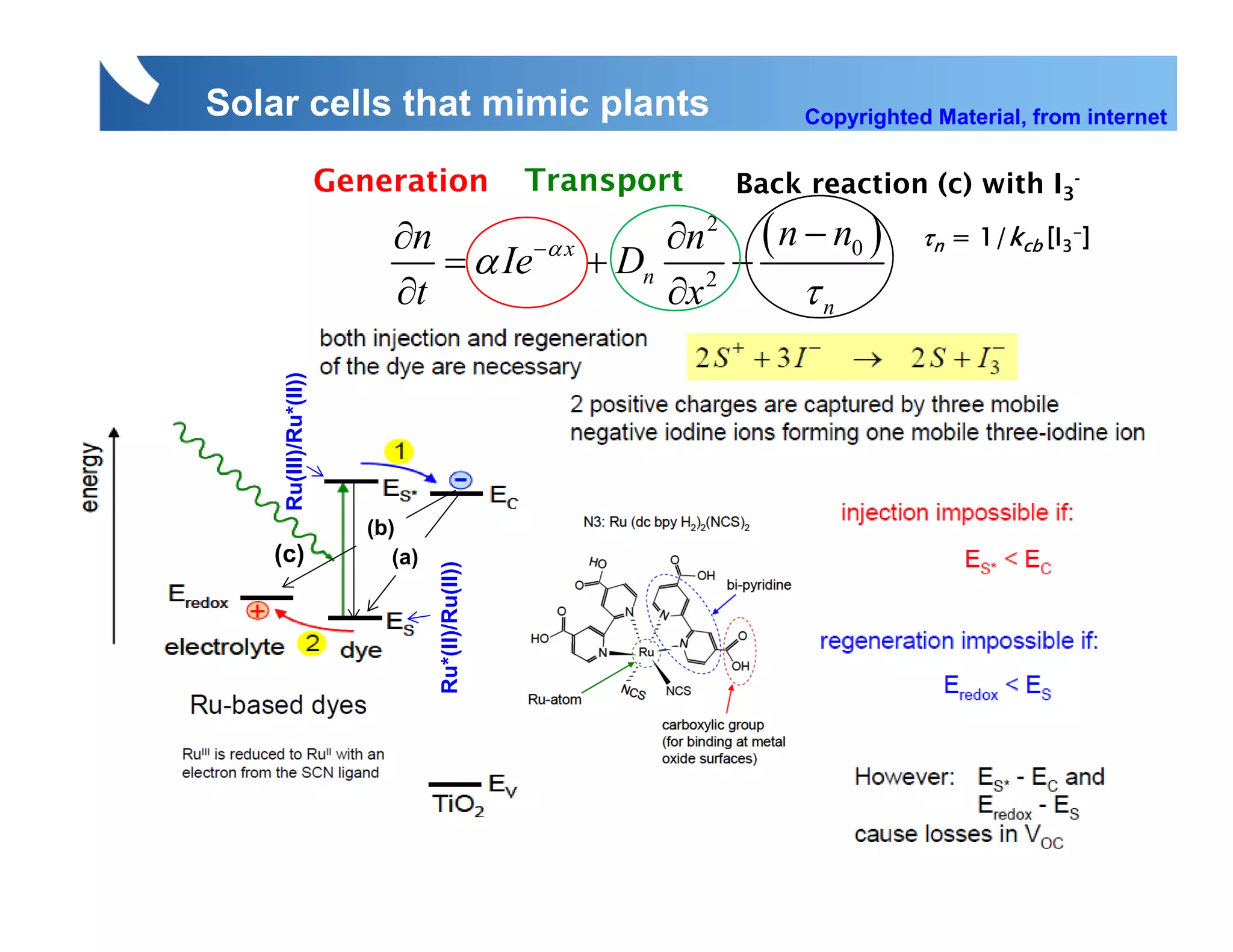 Solar cells that mimic plants                                         Copyrighted Material, from internet


                       Generation                    Transport   Back
                                                                 B k reaction ( ) with I3-
                                                                         ti   (c) ith
                             ∂n                 ∂n 2 ( n − n0 )                  τn = 1/kcb [I3-]
                                = α Ie −α x + Dn 2 −
    Ru(III)/Ru*(II))         ∂t                 ∂x       τn




                          ( )
                          (b)
   (c)                       (a)
                                   Ru*(II)/Ru(II))
 