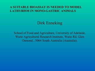 A SUITABLE BIOASSAY IS NEEDED TO MODEL LATHYRISM IN MONO-GASTRIC ANIMALS   Dirk Enneking School of Food and Agriculture, University of Adelaide, Waite Agricultural Research Institute, Waite Rd. Glen Osmond , 5064 South Australia (Australia). 