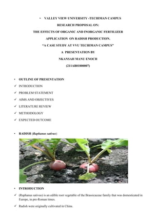 •

VALLEY VIEW UNIVERSITY -TECHIMAN CAMPUS
RESEARCH PROPOSAL ON:

THE EFFECTS OF ORGANIC AND INORGANIC FERTILIZER
APPLICATION ON RADISH PRODUCTION.
“A CASE STUDY AT VVU TECHIMAN CAMPUS”
A PRESENTATION BY
NKANSAH MANU ENOCH
(211AB01000007)

•

OUTLINE OF PRESENTATION

 INTRODUCTION
 PROBLEM STATEMENT
 AIMS AND OBJECTIVES
 LITERATURE REVIEW
 METHODOLOGY
 EXPECTED OUTCOME

•

RADISH (Raphanus sativus)

•

INTRODUCTION

 (Raphanus sativus) is an edible root vegetable of the Brassicaceae family that was domesticated in
Europe, in pre-Roman times.
 Radish were originally cultivated in China.

 