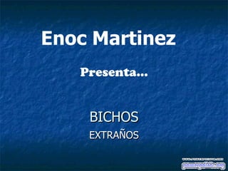 BICHOS EXTRAÑOS Enoc Martinez  Presenta… 