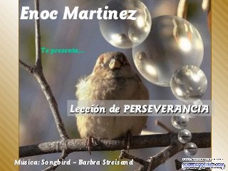 Lección de PERSEVERANCIALección de PERSEVERANCIA
Música: Songbird – Barbra StreisandMúsica: Songbird – Barbra Streisand
Enoc Martinez
Te presenta…
 