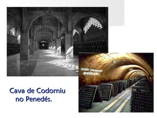 Cava de Codorniu
 no Penedés.
 
