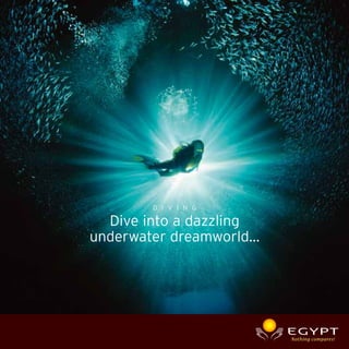 D I V I N G

  Dive into a dazzling
underwater dreamworld…
 