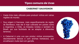 Tipos comuns de Uvas
CABERNET SAUVIGNON
• Casta tinta mais utilizada para produzir vinhos em várias
regiões do mundo;
• Sua origem é francesa, mais especificamente da região
de Bordeaux, mas ela é hoje cultivada em países como
a Argentina, o Chile, os Estados Unidos e também no
Brasil, por sua facilidade de se adaptar a diferentes
terrenos;
• A Cabernet é uma uva que produz vinhos encorpados,
discretamente tânicos e com aromas herbáceos, que
envelhecem muito bem em garrafa.
 