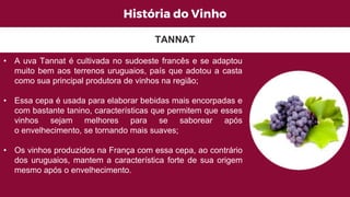 História do Vinho
• A uva Tannat é cultivada no sudoeste francês e se adaptou
muito bem aos terrenos uruguaios, país que adotou a casta
como sua principal produtora de vinhos na região;
• Essa cepa é usada para elaborar bebidas mais encorpadas e
com bastante tanino, características que permitem que esses
vinhos sejam melhores para se saborear após
o envelhecimento, se tornando mais suaves;
• Os vinhos produzidos na França com essa cepa, ao contrário
dos uruguaios, mantem a característica forte de sua origem
mesmo após o envelhecimento.
TANNAT
 