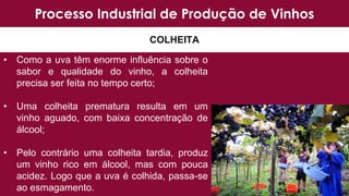 Processo Industrial de Produção de Vinhos
COLHEITA
• Como a uva têm enorme influência sobre o
sabor e qualidade do vinho, a colheita
precisa ser feita no tempo certo;
• Uma colheita prematura resulta em um
vinho aguado, com baixa concentração de
álcool;
• Pelo contrário uma colheita tardia, produz
um vinho rico em álcool, mas com pouca
acidez. Logo que a uva é colhida, passa-se
ao esmagamento.
 