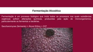 Fermentação Alcoólica
Fermentação é um processo biológico que inclui todos os processos nos quais substâncias
orgânicas sofrem alterações químicas, produzidas pela ação de microorganismos,
particularmente os fermentos e bactérias.
Saccharomyces (fermento) = Álcool Etílico + CO²
 