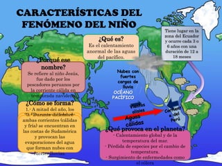 CARACTERÍSTICAS DEL
FENÓMENO DEL NIÑO Tiene lugar en la
zona del Ecuador
y ocurre cada 3 o
6 años con una
duración de 12 a
18 meses
¿Qué es?
Es el calentamiento
anormal de las aguas
del pacífico.
¿Porqué ese
nombre?
Se refiere al niño Jesús,
fue dado por los
pescadores peruanos por
la corriente cálida en
temporada navideña
¿Cómo se forma?
1.- A mitad del año, los
vientos alisios del O.
Pacífico cambian se
sentido y soplan de oeste
a este.
2.- Las aguas cálidas de
las costas de Australia e
Indonesia se desplazan
hacia la corriente de
Humboldt compuesta de
agua fría.
3.- Durante diciembre
ambas corrientes (cálidas
y fría) se encuentran en
las costas de Sudamérica
y provocan las
evaporaciones del agua
que forman nubes con
fuertes lluvias.
¿Qué provoca en el planeta?
- Calentamiento global y de la
temperatura del mar.
- Pérdida de especies por el cambio de
temperatura.
- Surgimiento de enfermedades como
el cólera
Nubes con
fuertes
cargas de
lluvia
OCÉANO
PACÍFICO
 