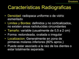 Enostosis


  Características Radiograficas
• Densidad: radiopaca uniforme o de vidrio
  esmerilado
• Limites y Bordes: definidos y no corticalizados,
  no existen areas radiolucidas circundantes
• Tamaño: variable (usualmente de 0,5 a 2 cm)
• Forma: redondeada, ovalada o irregular
• Localizacion: Generalmente en zona de
  pirmeras molares inferiores (80% aprox.)
• Puede estar asociado a la raiz de los dientes o
  estar totalmente separada.
 