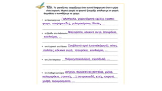 Γαλοπούλα, χοιρινό(ψητό κρέας), χριστό-
ψωμο, κουραμπιέδες, μελομακάρονα, δίπλες, …
Μαγειρίτσα, κόκκινα αυγά, τσουρέκια,
κουλούρια, …
Σουβλιστό αρνί ή κατσίκι(ψητό), πίτες,
σαλάτες, κόκκινα αυγά, τσουρέκια, κουλούρια, …
Ψάρια(μπακαλιάρο), σκορδαλιά, …
Λαγάνα, θαλασσινά(χταπόδια, μύδια,
καλαμαράκια, σουπιές, …), οστρακοειδή, ελιές, τουρσιά,
χαλβά, ταραμοσαλάτα, …
 