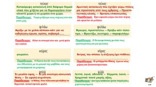 Κατακόρυφη κατασκευή από διάφορα δομικά
υλικά που χτίζεται για να δημιουργήσει έναν
κλειστό χώρο ή να χωρίσει ένα χώρο.
Παράδειγμα: Τώρα χτίζουμε τους τοίχους στο νέο
σπίτι μας.
Αμυντική κατασκευή που έχτιζαν γύρω πόλεις
για προστασία από τους εχθρούς. – Προστα-
τευτικός κλοιός. – Άρνηση επικοινωνίας.
Παράδειγμα: Έχει υψώσει γύρω του ένα τείχος
και αρνείται να μιλήσει.
Αγγίζω με τα χείλια κάποιον-κάτι για να
εκδηλώσω έρωτα, αγάπη, σεβασμό ,….
Παράδειγμα: Κάνε το σταυρό σου και μετά φίλα
την εικόνα.
Φρουρώ, προστατεύω. – Κρύβω κάτι πολύ-
τιμο. – Φροντίζω, συντηρώ. – παραφυλάγω.
Παράδειγμα: Ο δεσμοφύλακαςφυλάει τους
κρατουμένουςσε μια φυλακή..
γουρούνι.
Παράδειγμα: Η Κίρκη άγγιξε τους συντρόφους
του Οδυσσέα, με το μαγικό της ραβδάκι, και τους
μεταμόρφωσε σε χοίρους.
Άντρας του οποίου η σύζυγος έχει πεθάνει.
Παράδειγμα: Ο μπάρμπα-Νίκος έμεινε νέος
χήρος και ξαναπαντρεύτηκε.
Σε μεγάλο ύψος. – Σε μία ανώτερη κοινωνική
θέση. – Σε υψηλή συχνότητα.
Παράδειγμα: ο Νίκος, που τέλειωσε μετά βίας το
δημοτικό, τελικά έφτασε ψηλά,
Λεπτά, λιγνά, αδύνατά. – Κέρματα, λιανά. –
Χρηματικό ποσό μικρής αξίας.
Παράδειγμα: Δεν έχω καθόλου ψιλά, παρά μόνο
χαρτονομίσματα.α
 