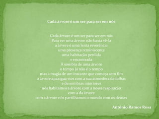 Eno  Tree  Planting  Day