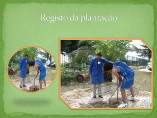 Eno  Tree  Planting  Day